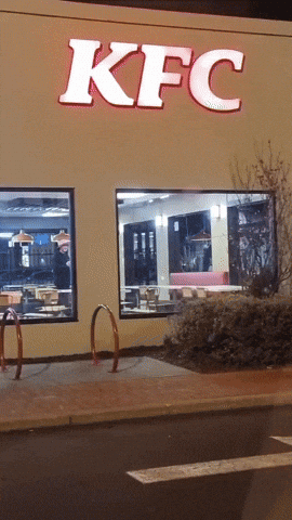 cuteanimalland giphyupload GIF