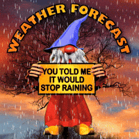 Stormy Weather Rain GIF