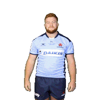 NSWWaratahs dance rugby footy rugby union Sticker