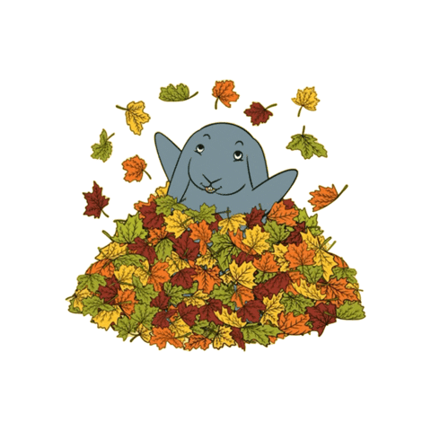 BunBea giphygifmaker happy bunny autumn Sticker