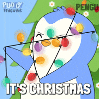 Merry Christmas GIF by Pudgy Penguins