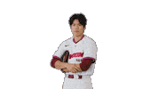 Kbo Sticker by Kiwoom Heroes Baseball Club