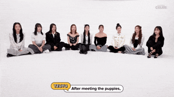 Adopt the puppies