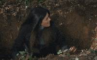 Comedy Reaction GIF by Eccho Rights