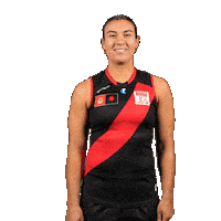 Football Sport Sticker by Essendon FC