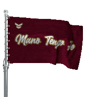 La Vinotinto Venezuela Sticker by Mr Urbina