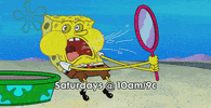 GIF by SpongeBob SquarePants