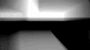 GIF by Still The King