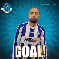 Voetbalvereniging_Scherpenzeel voetbal bal blauwwit hoofdklasse GIF