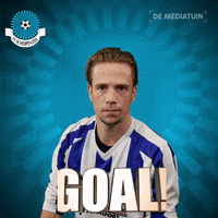 Voetbalvereniging_Scherpenzeel voetbal bal blauwwit hoofdklasse GIF