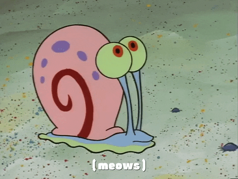 season 1 GIF by SpongeBob SquarePants