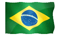 brazil STICKER