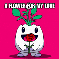 I Love You Flirt GIF by Magic Eden