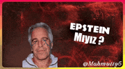 Epstein Evrim GIF
