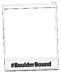 Colorado Cu Sticker by CUBoulder