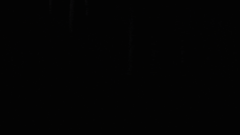 jmccarthy6184 giphyupload GIF
