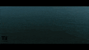 France Video GIF by TheFactory.video