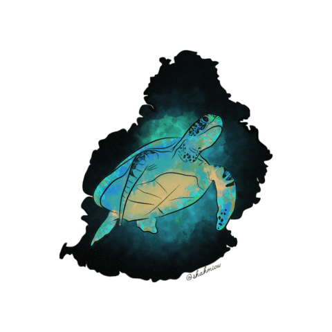 Turtle Maurice Sticker