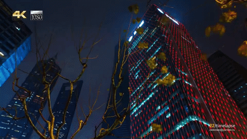 shang hai GIF