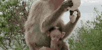 we are bff film festival GIF by Bentonville Film Festival