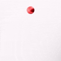 Loading GIF