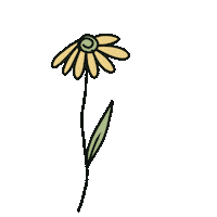 thalitaandrad33z flower flor brilho thlt33z Sticker