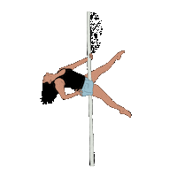 Circus Pole Sticker