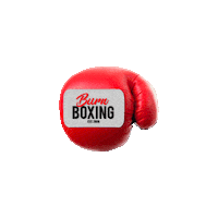 Burnboxing bb didyouburnboxing burnboxing Sticker