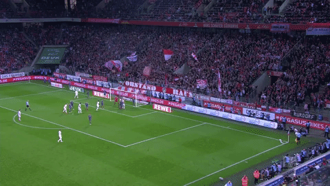 simon terodde celebration GIF by 1. FC Köln