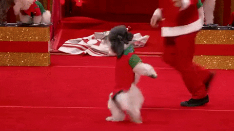 adorable americas got talent holiday spectacular GIF by America's Got Talent