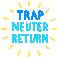 Animal Rescue Sticker by Brooklyn Cat Cafe