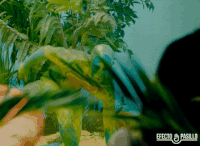 efecto pasillo dancing GIF