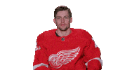 Red Wings Sport Sticker by Detroit Red Wings