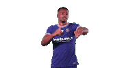 Sport Fun Sticker by Paris Saint-Germain Handball