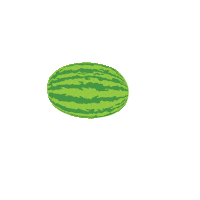 Baby Seattle Sticker by Woodland Park Zoo