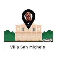Travel Holiday Sticker by POLDO DOG COUTURE