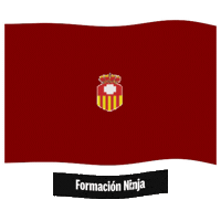 Flag Spain Sticker by Formación Ninja