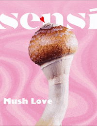 sensimag  GIF