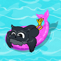 Summer Swimming GIF by BigBrains