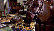 countdown to christmas prancer GIF by MGM Christmas