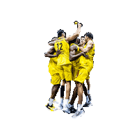 Ewe Baskets Odiase Sticker by EWE Baskets Oldenburg