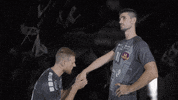Sport Handball GIF by HBCNantes