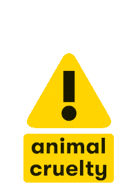 Sticker by kijkwijzeronline