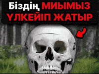 Қазақша Мемдер GIF