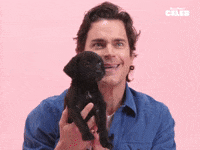 Matt Bomer Puppies GIF by BuzzFeed