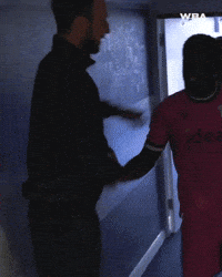 West Brom Championship GIF by West Bromwich Albion