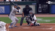 Good Bye Baseball GIF by YES Network