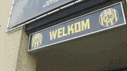 GIF by FOX Sports