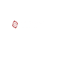 Hgmotorsport Sticker by HurricaneExhaust