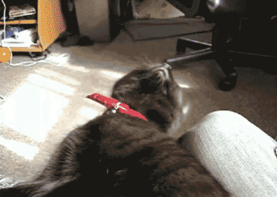 Video gif. A black cat starts to doze off as its head rolls back before startling awake and sitting up again. 